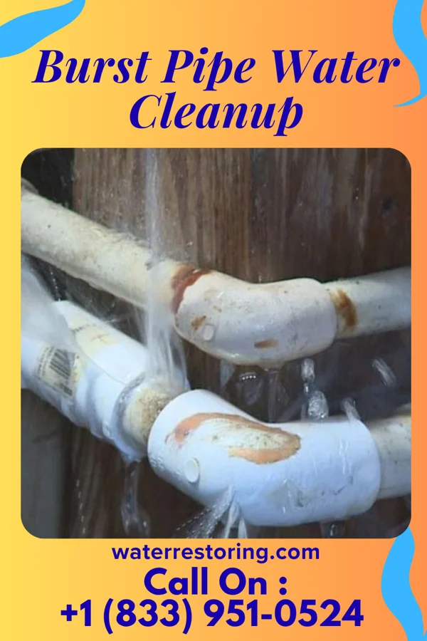Burst Pipe Water Cleanup in Malvern, AL