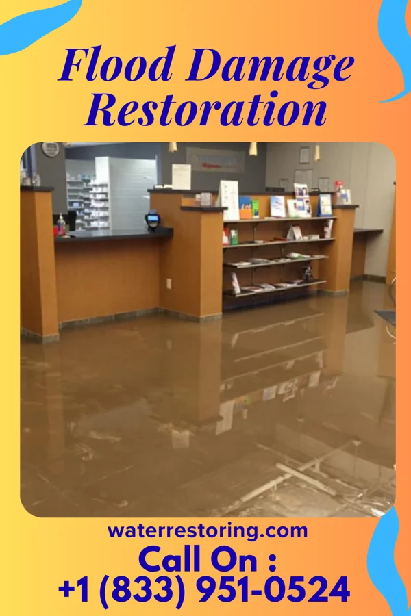 Flood Damage Restoration in Malvern, AL